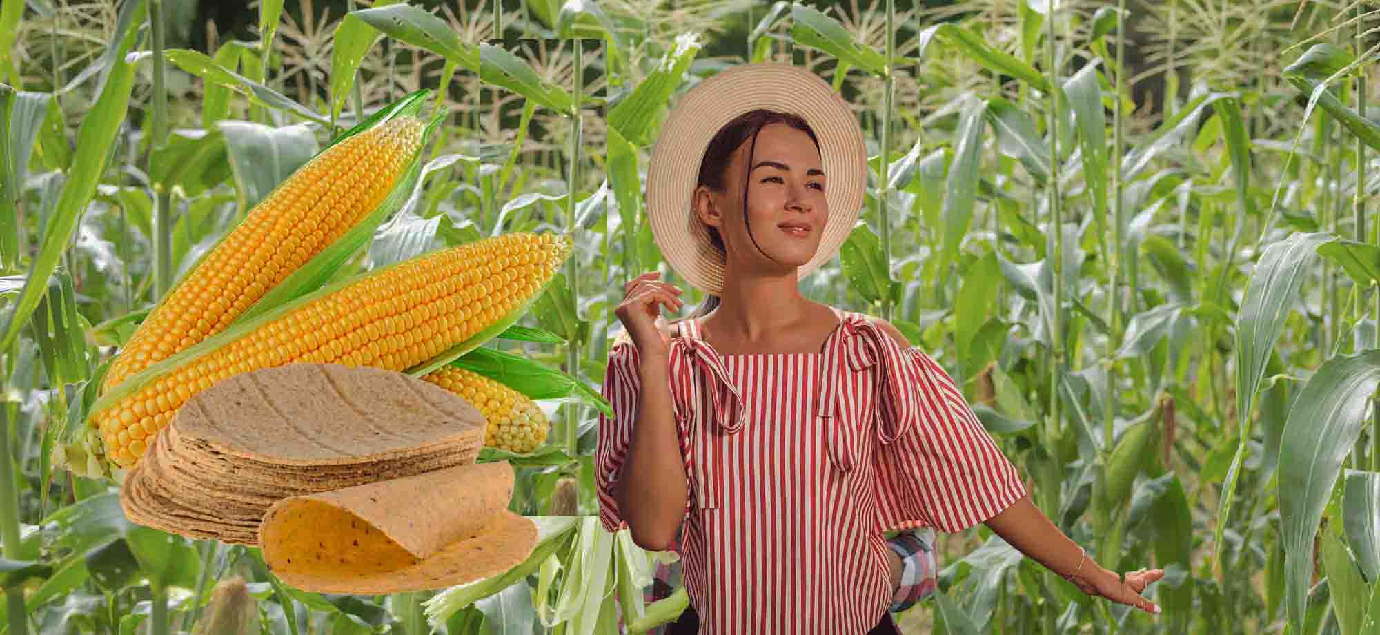 Antiadherentes Teflonox para la elaboración de las tortillas