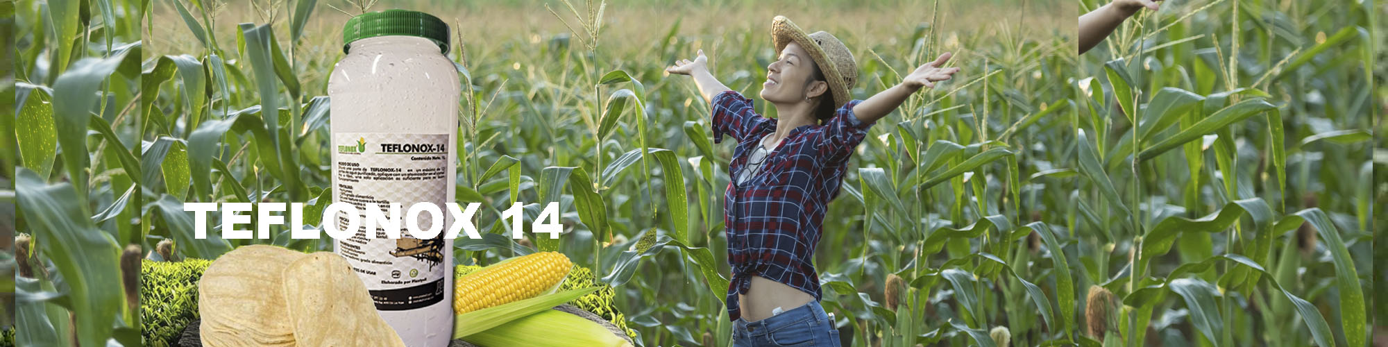 Antiadherentes Teflonox-10 para la elaboración de las tortillas