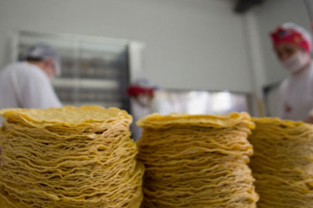 industria de la tortilla y masa